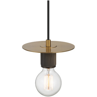 Central LED Pendant (62338-AB)