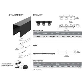 LED Pendant (38455-018)
