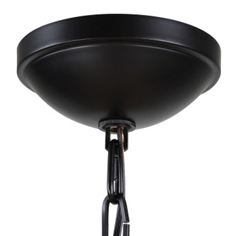 Lakeside One Light Pendant (21655)