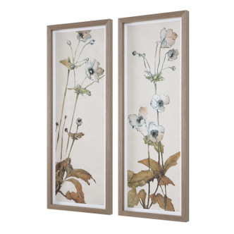 Uttermost - 32547 - Floral Prints S/2 - Garden - White Linen