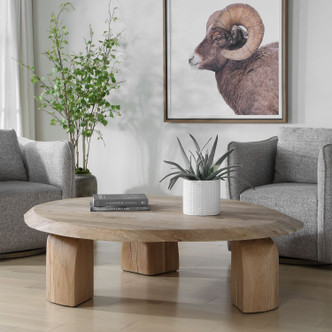Tiernan Coffee Table (50390)