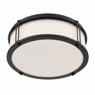 Merick LED Flush Mount (16014-899-L)