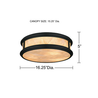Colette LED Flush Mount (COLE1616MBK)