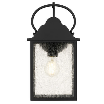 Damian One Light Outdoor Wall Lantern (DAM8307MBK)