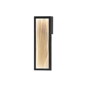ET2 - E30322-112BK - LED Wall Sconce - Celeste - Black