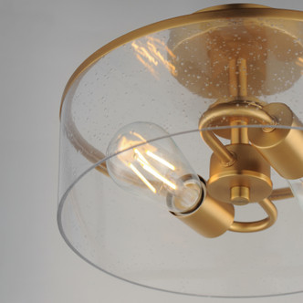 Livingston Two Light Semi-Flush Mount (10469CDNAB)