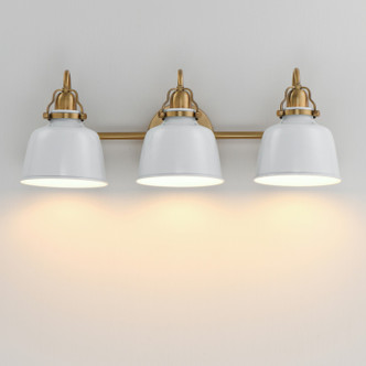 Hollis Three Light Wall Sconce (21423GWNAB)