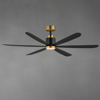 Petals 60" Ceiling Fan (88326BKGLD)