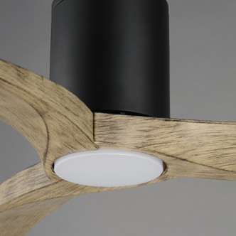 Drifter 52" Ceiling Fan (88771WTBKDW)
