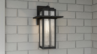 Randall One Light Outdoor Wall Mount (RDL8409MB)