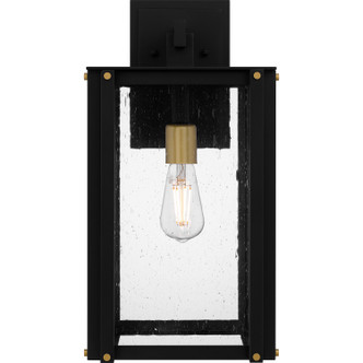 Robbins One Light Outdoor Wall Mount (ROB8409MBK)