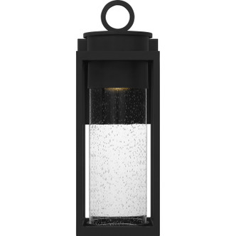 Donegal One Light Outdoor Wall Mount (DGL8407MBK)
