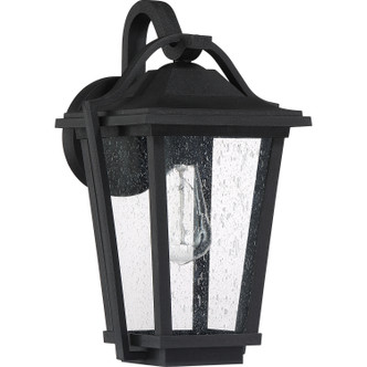 Darius One Light Outdoor Wall Lantern (DRS8409EK)