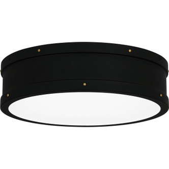 manufacturer_finish:Matte Black|manufacturer_glass:Etched Glass|light_source:LED|light_output:1700.00lm|color_temperature:3000K|cri:90