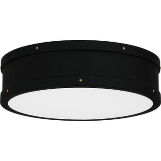 manufacturer_finish:Matte Black|manufacturer_glass:Etched Glass|light_source:LED|light_output:1700.00lm|color_temperature:3000K|cri:90