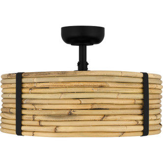 manufacturer_glass:Rattan|light_output:Unspecified|color_temperature:Unspecified|cri:Unspecified