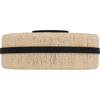 manufacturer_finish:Matte Black|manufacturer_glass:Ivory Rope