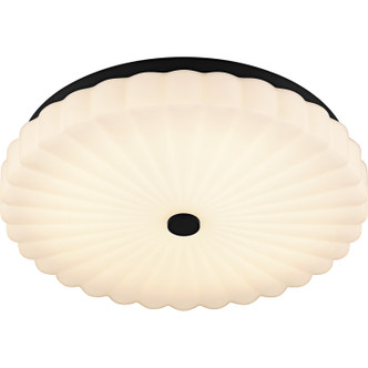 manufacturer_finish:Matte Black|manufacturer_glass:Opal Etched Ribbed Glass|light_source:LED|light_output:2500.00lm|color_temperature:3000K|cri:90