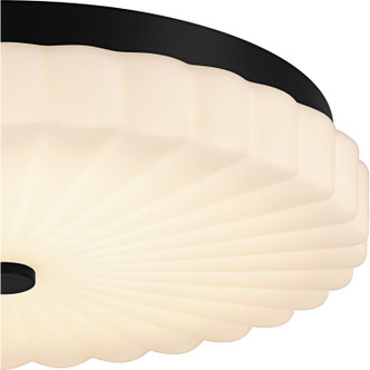 manufacturer_finish:Matte Black|manufacturer_glass:Opal Etched Ribbed Glass|light_source:LED|light_output:2500.00lm|color_temperature:3000K|cri:90