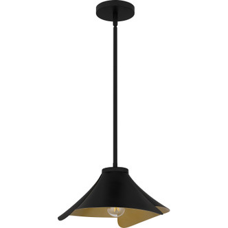 manufacturer_finish:Matte Black|manufacturer_glass:Metal