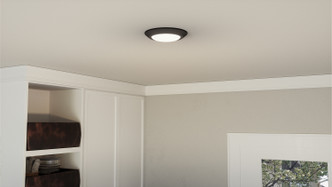 manufacturer_finish:Earth Black|light_output:1300.00lm