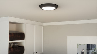 manufacturer_finish:Earth Black|light_output:1480.00lm