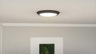 manufacturer_finish:Earth Black|light_output:2640.00lm