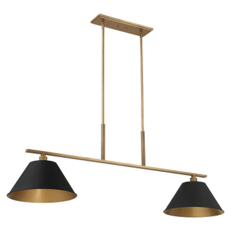 Thesis - 207336A - Two Light Linear Chandelier - Mcgill - Natural Brass Matte Black