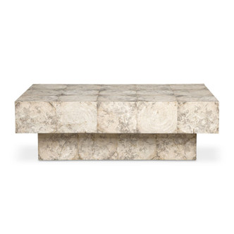 Uttermost - 51140 - Coffee Table - Kotoa - Wood Veneer In A Bleached
