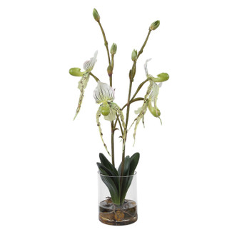 Uttermost - 60276 - Vase - Lady - White