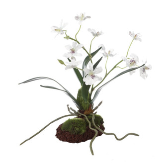 Uttermost - 60281 - Orchid Drop-In - Clovis - White
