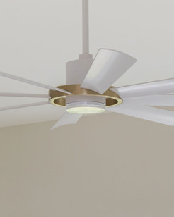 Ceiling Fans Save the Day (and night)