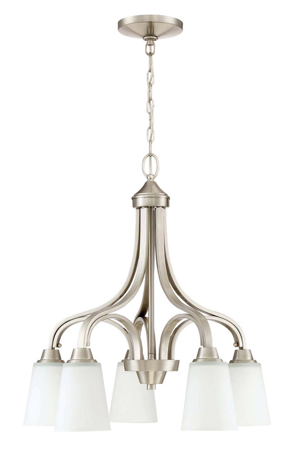manufacturer_finish:Brushed Polished Nickel|manufacturer_glass:White Frost