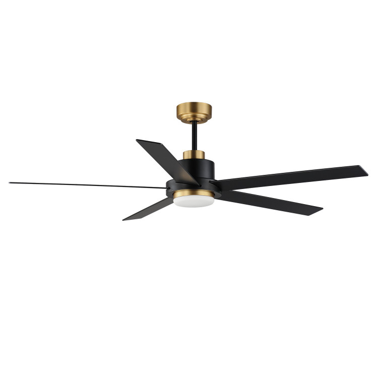 Maxim - 88826BKGLD - 60 Ceiling Fan - Daisy - Black / Gold