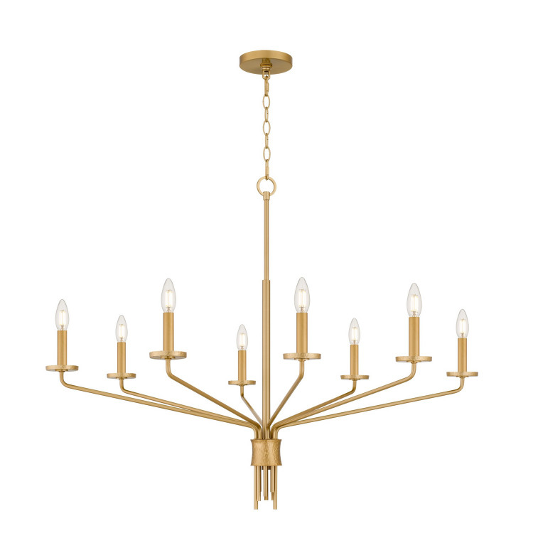 Quoizel - ALEX5040BRG - Eight Light Chandelier - Alexander - Brushed Gold