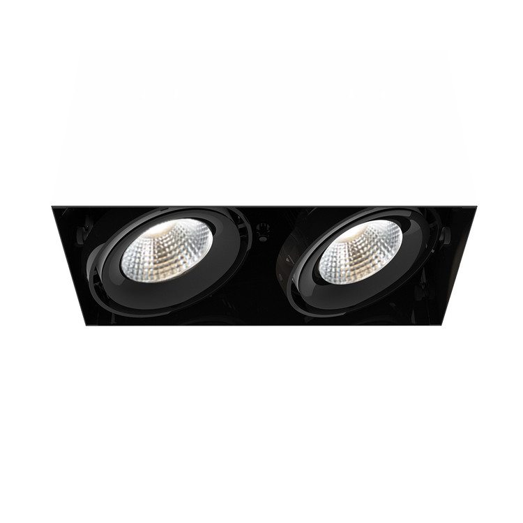 Eurofase - TE222LED-40-4-01 - MULT26WTRMLS2LT40KBLK - TE SERIES - Black