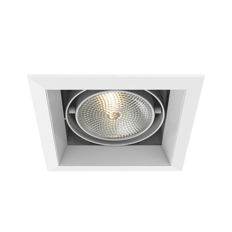 Eurofase - TE131-22 - MULTPAR30TRM1LT75WWH/WHT - PAR30MULTI-GEN - White