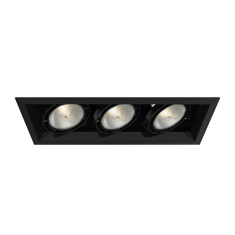 Eurofase - TE133-01 - MULTPAR30TRM3LT75WBL/BLK - PAR30MULTI-GEN - Black