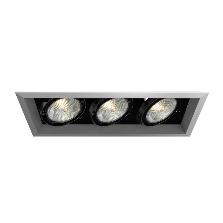 Eurofase - TE133-0N - MULTPAR30TRM3LT75WPT/BLK - PAR30MULTI-GEN - Platinum
