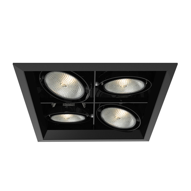 Eurofase - TE134B-01 - MULTPAR30TRM4LTSQBLK/BLK - PAR30MULTI-GEN - Black