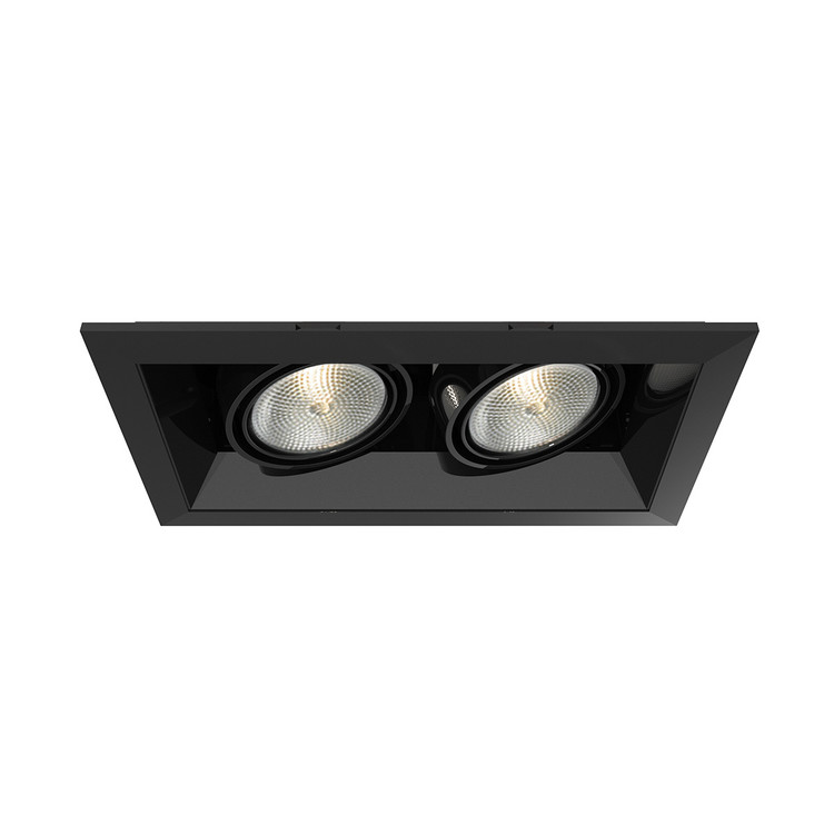 Eurofase - TE162-01 - MULTPAR20TRM2LT50WBL/BLK - PAR20MULTI-GEN - Black