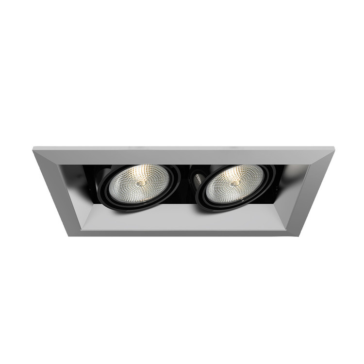 Eurofase - TE162-0N - MULTPAR20TRM2LT50WPT/BLK - PAR20MULTI-GEN - Platinum