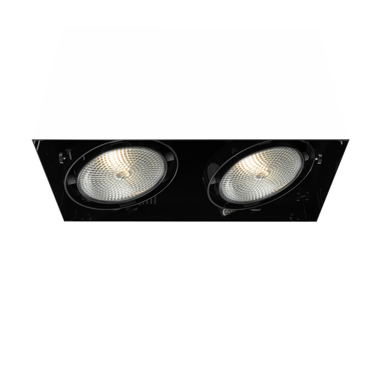 Eurofase - TE222-01 - MULTPAR30TRIMLSS2LT75WBLK - PAR30MULTI-GEN - Black