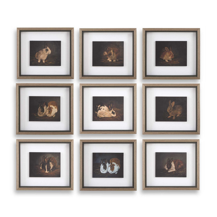Uttermost - 32386 - Framed Print - Resting Bunny