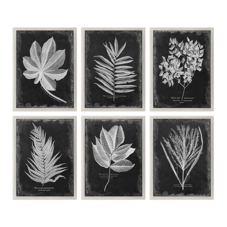 Uttermost - 33671 - Wall Art - Foliage - Champagne Silver