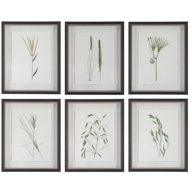 Uttermost - 41459 - Framed Prints S/6 - Forest Finds - Dark Espresso