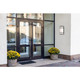 Cove Dual Voltage LED Outdoor Wall Mount (20105LEDMG-BL/ACR)