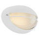 Clifton Oval LED Bulkhead (20270LEDDMG-WH/OPL)