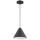 Ford LED Pendant (23780LEDDLP-MBL)