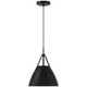 Tanner One Light Pendant (23793-MBL)